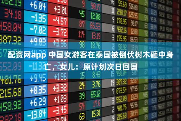 配资网app 中国女游客在泰国被倒伏树木砸中身亡，女儿：原计划次日回国