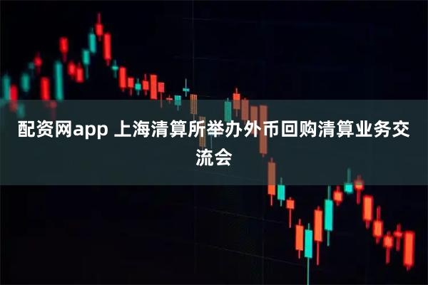 配资网app 上海清算所举办外币回购清算业务交流会